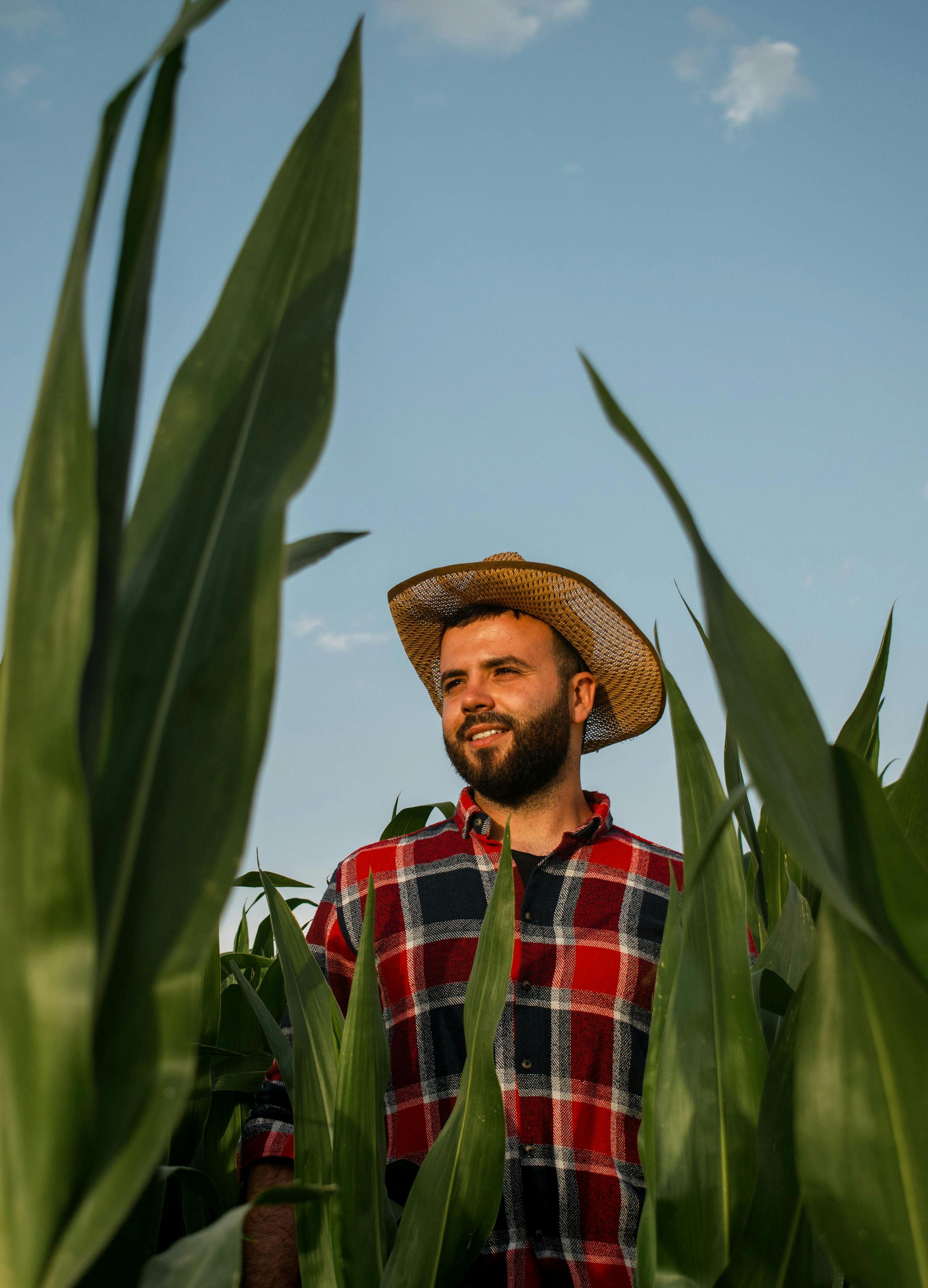 Rodrigo Menezes, consultor agrícola do Paraná, depoimento Nano Ureia FAISCA